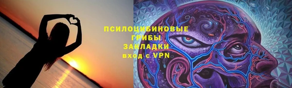 бошки Покачи