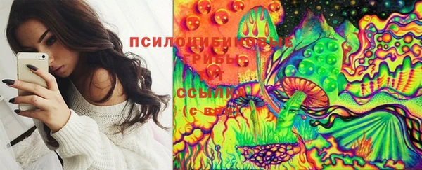 бошки Покачи