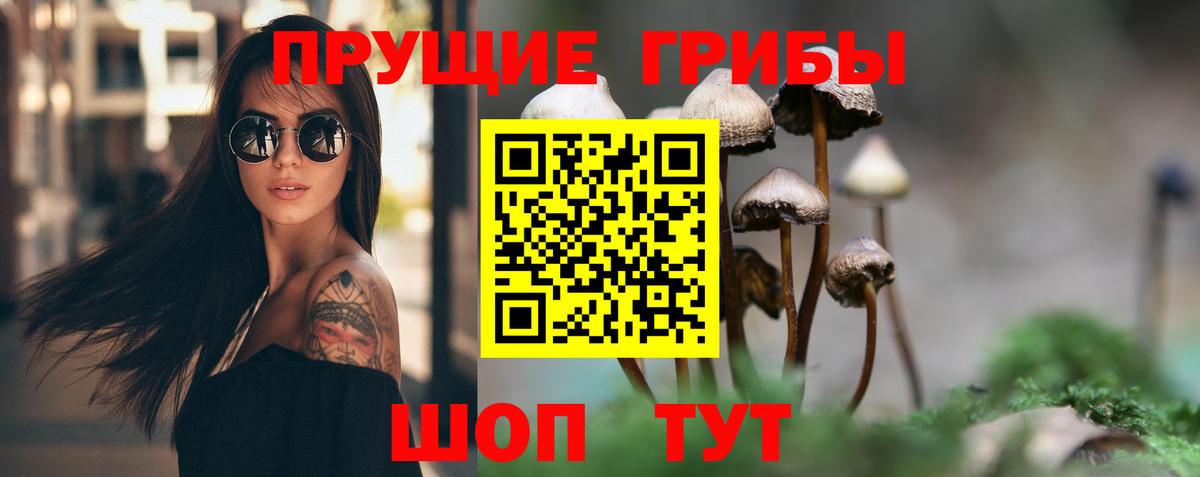 Россошь  Псилоцибиновые грибы ЛСД  где продают   Галлюциногенные грибы ЛСД  Вход с VPN 